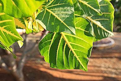 Fami通新一周销量榜 《地球防卫军6》登顶